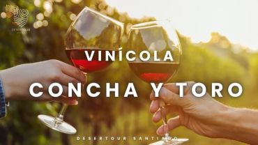 VINICOLA CONCHA E TORO